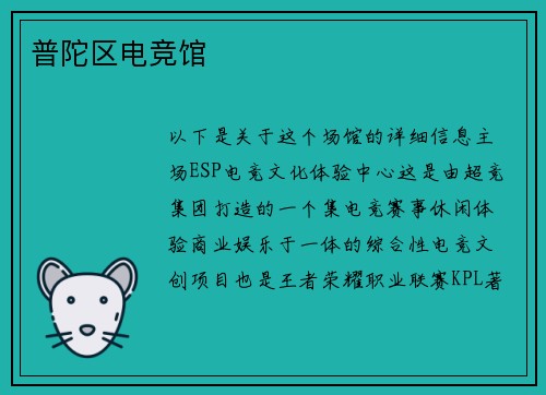 普陀区电竞馆